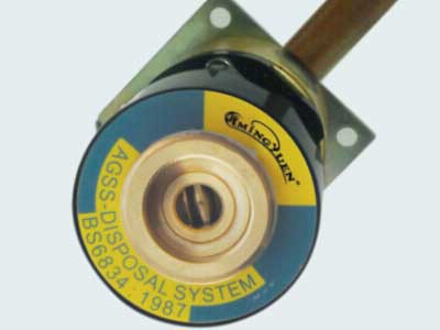 Exhaust gas discharging terminal and plug